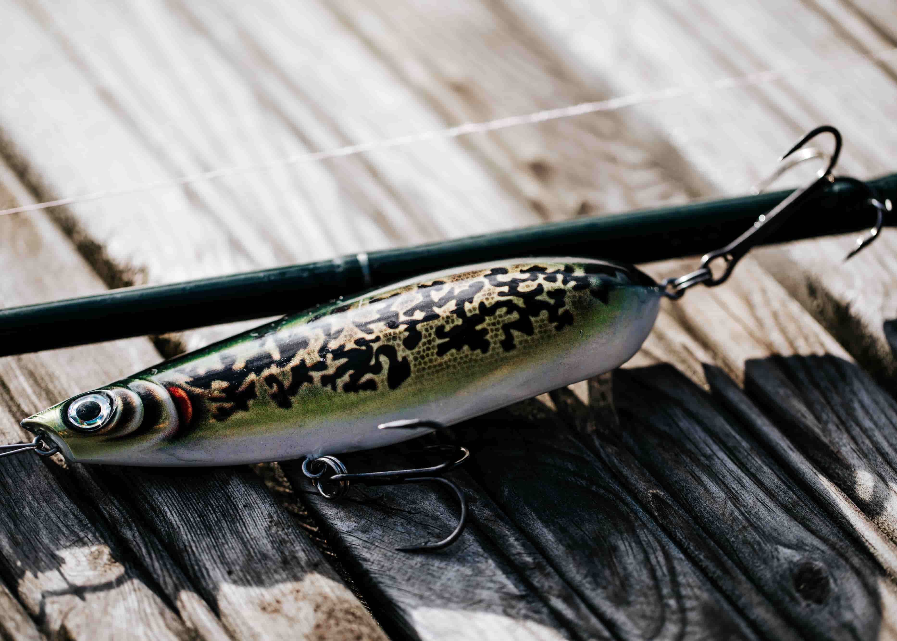 Pike or barramundi? Rapala's innovative lures attract fish and